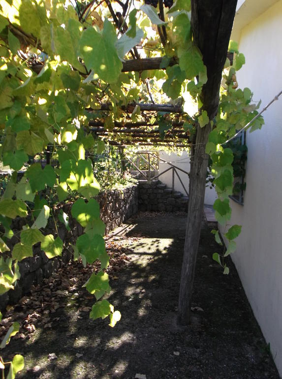 Agriturismo Collevento Trecchina Esterno foto