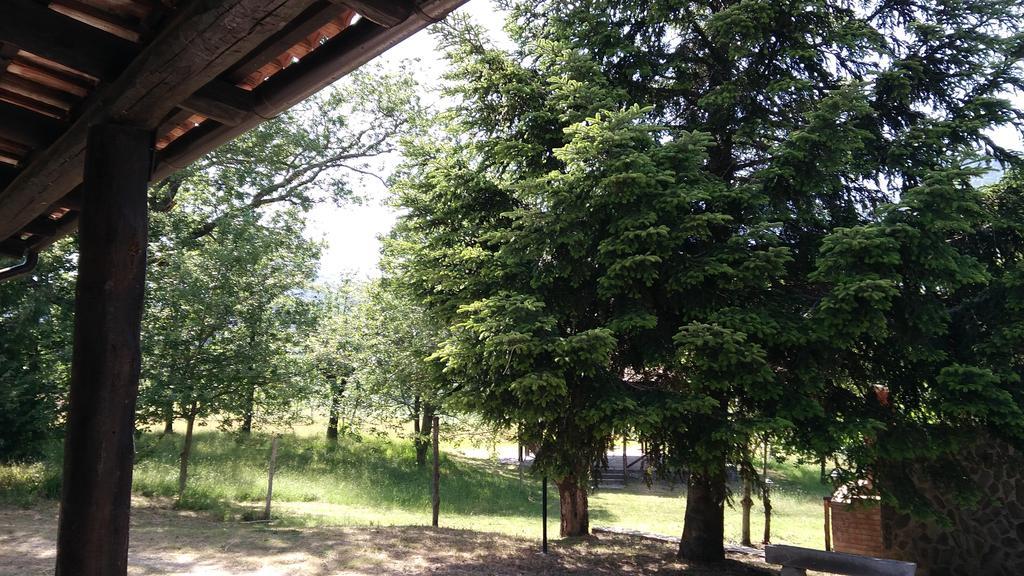 Agriturismo Collevento Trecchina Esterno foto