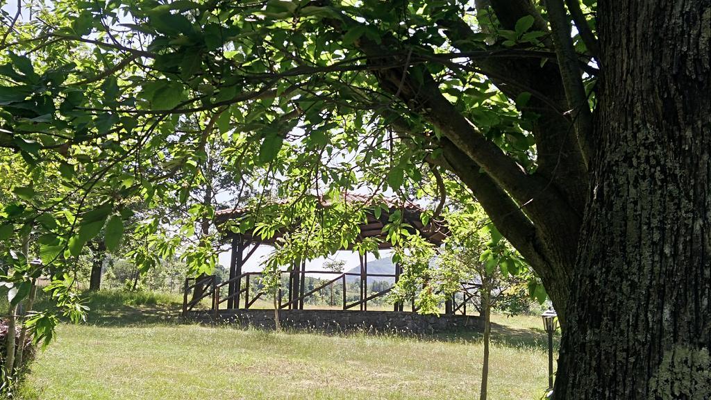 Agriturismo Collevento Trecchina Esterno foto