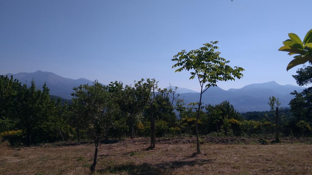 Agriturismo Collevento Trecchina Esterno foto